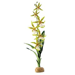 Искусственное растение EX Spider Orchid, пластиковое растение Паучья орхидея, PT2991 фото
