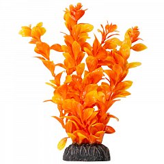 Растение "Людвигия" ярко-оранжевая, 200мм, Laguna фото