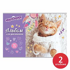 Альбомы для рисования А4 40 л., КОМПЛЕКТ 2 шт., скоба, обложка картон, ЮНЛАНДИЯ, 202х285 мм, "Кот в свитере", 880042 фото