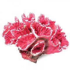 Коралл искусственный "Кауластрея", розовая, 70*50*45мм, Laguna фото