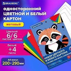 Набор картона БЕЛЫЙ+ЦВЕТНОЙ А4 немелованный, 10л. (белый 4л + цветной 6л), в папке, B, 116631 фото