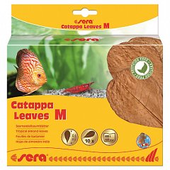 Сера Листья индийского миндаля Catappa Leaves M 18 см. фото
