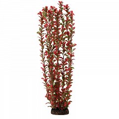Растение "Людвигия" красная, 500мм, Laguna фото