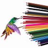Карандаши цветные пластиковые BRAUBERG PREMIUM 24 цвета + 2 чернографитных карандаша, трехгранный корпус, грифель 3 мм, 181937