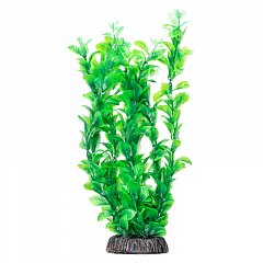 Растение "Людвигия" зеленая, 300мм, Laguna фото