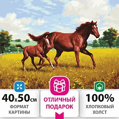 Картина по номерам 40х50 см, ОСТРОВ СОКРОВИЩ "Лошади на лугу", на подрамнике, акриловые краски, 3 кисти, 662464 фото