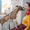 Н-образная шлейка для собак, M, Миссис Пин-Ап