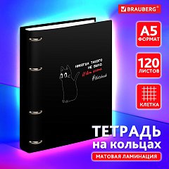 Тетрадь на кольцах А5 160х212 мм, 120 листов, картон, матовая ламинация, клетка, BRAUBERG, "Просто Кот", 404723 фото