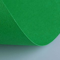 Бумага(картон) для творчества (1 лист) Fabriano Elle Erre А2+ 500*700мм, 220г/м2, зеленый, 42450711 фото