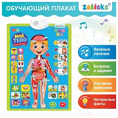 Плакат детский музыкальный обучающий "Изучаем анатомию: Моё тело", ZABIAKA, 5148294 фото