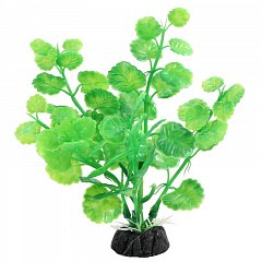 Растение "Щитолистник" зеленый, 100мм, Laguna фото