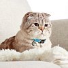 Ошейник Smart ID для кошек, единый размер, Ретро голубой