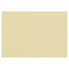 Бумага для пастели (1 лист) FABRIANO Tiziano А2+ (500х650 мм), 160 г/м2, песочный, 52551006 фото