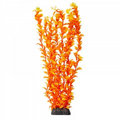 Растение "Людвигия" ярко-оранжевая, 400мм, Laguna фото