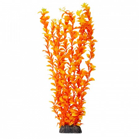 Растение "Людвигия" ярко-оранжевая, 400мм, Laguna фото