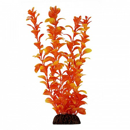 Растение "Людвигия" оранжевая, 200мм, Laguna фото