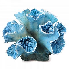 Коралл искусственный "Кауластрея", синяя, 90*85*50мм, Laguna фото