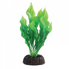 Растение "Апоногетон" зеленый, 100мм, Laguna фото