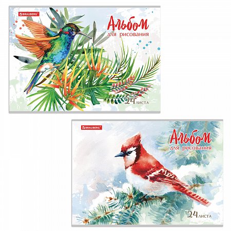 Альбом для рисования А4 24 л., скоба, обложка картон, BRAUBERG, 202х285 мм, "Райские птички" (2 вида), 105609 фото