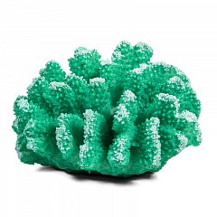 Коралл искусственный "Поциллопора", зеленый, 120*110*65мм фото