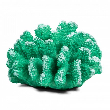 Коралл искусственный "Поциллопора", зеленый, 120*110*65мм фото