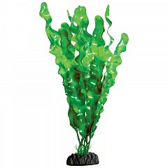 Растение "Ламинария зеленая", 300мм, Laguna фото