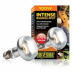 Лампа для баскинга Intense basking spot 100 Вт 80mm. PT2138 фото