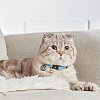 Ошейник Smart ID для кошек, единый размер, Ретро голубой